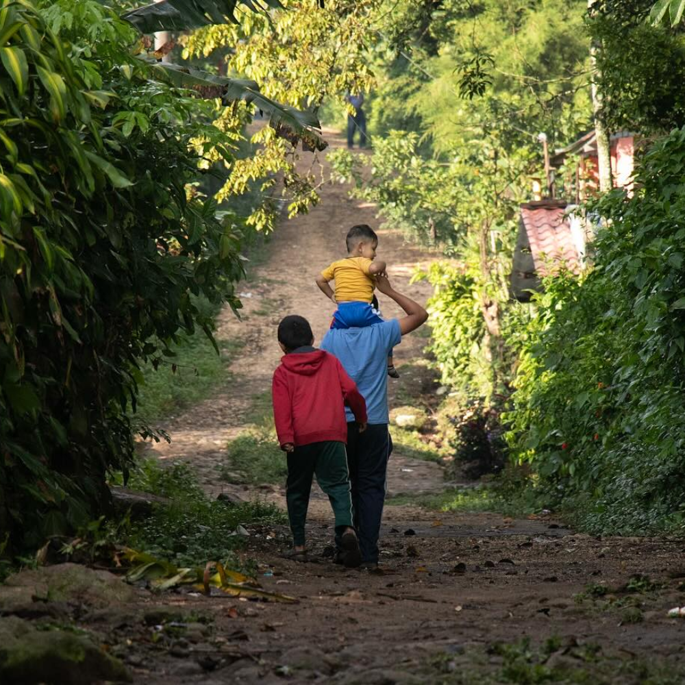 Santa Rosa 2025 Landivart